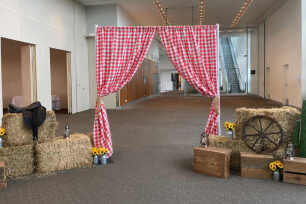 Western Chequered Curtains
