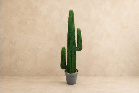 Mexican Cactus (M) - 125cm