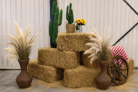 Western Pampas Vase