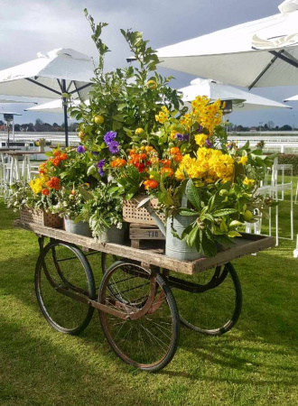 Rustic Market Cart showcasing flowers at Caulfield Racecourse