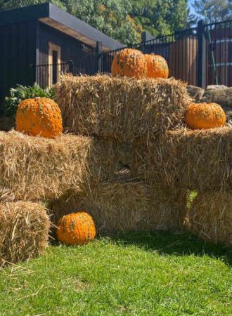 Stack of hay bales with Halloween pumpkins