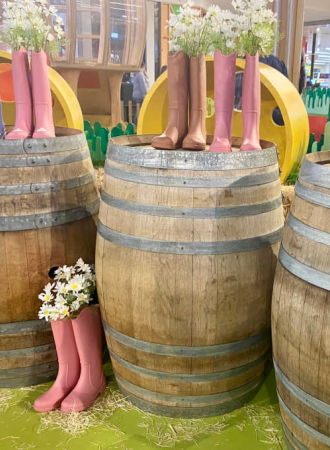 Wine Barrels