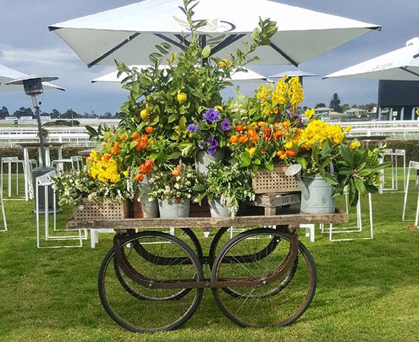 Market Cart set-up at the Caulfield Race Track