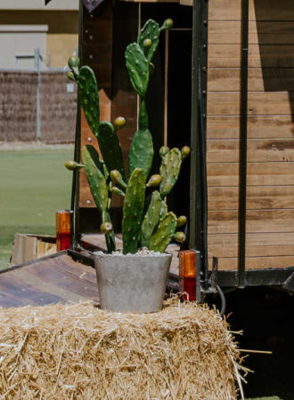 Western Party Props