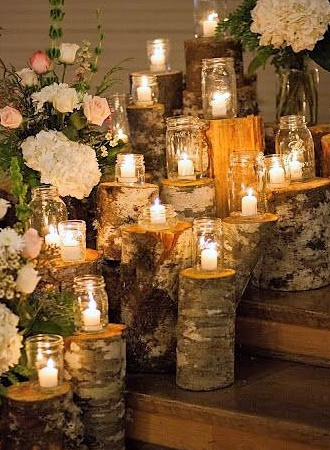 Wood Slices & Logs