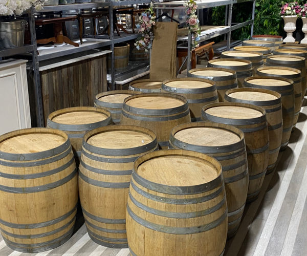 First kiss under our Birch Wood Arbour