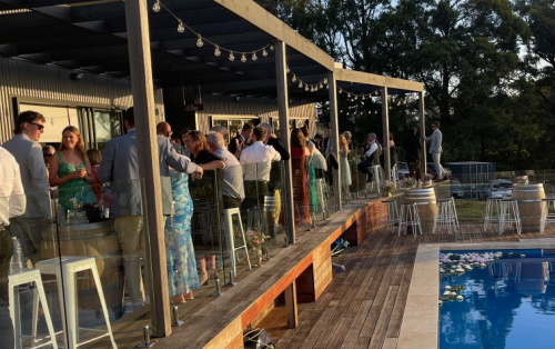 Photos shows guests celebrating at a relaxed backyard wedding