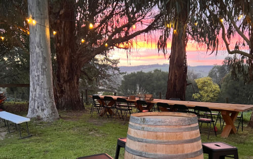 Photo shows a backyard wedding with gun trees against a stunning, colour sunset